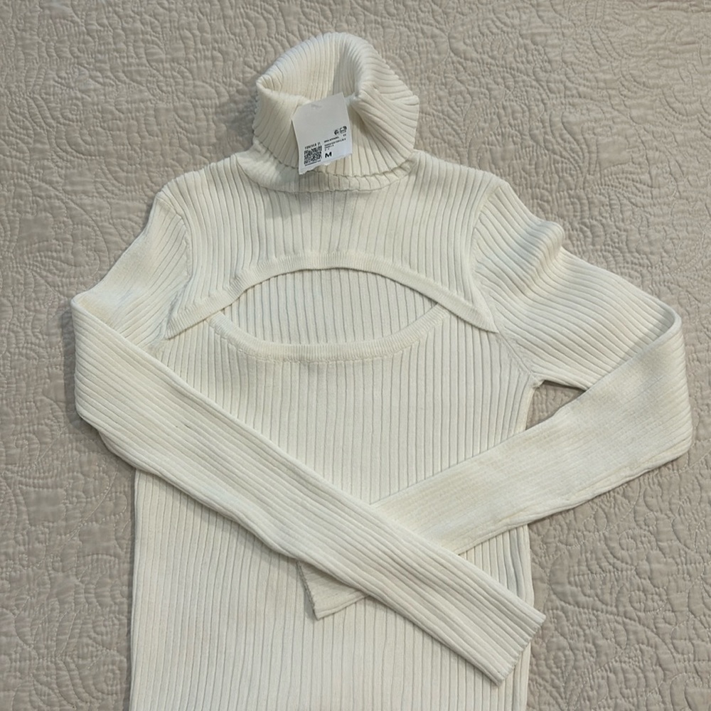 Ribbed knit cutout turtleneck
